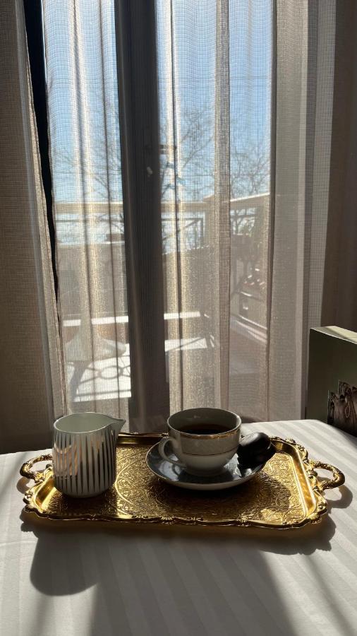 Villa-Sofia Mini-Hotel Одеса Екстериор снимка